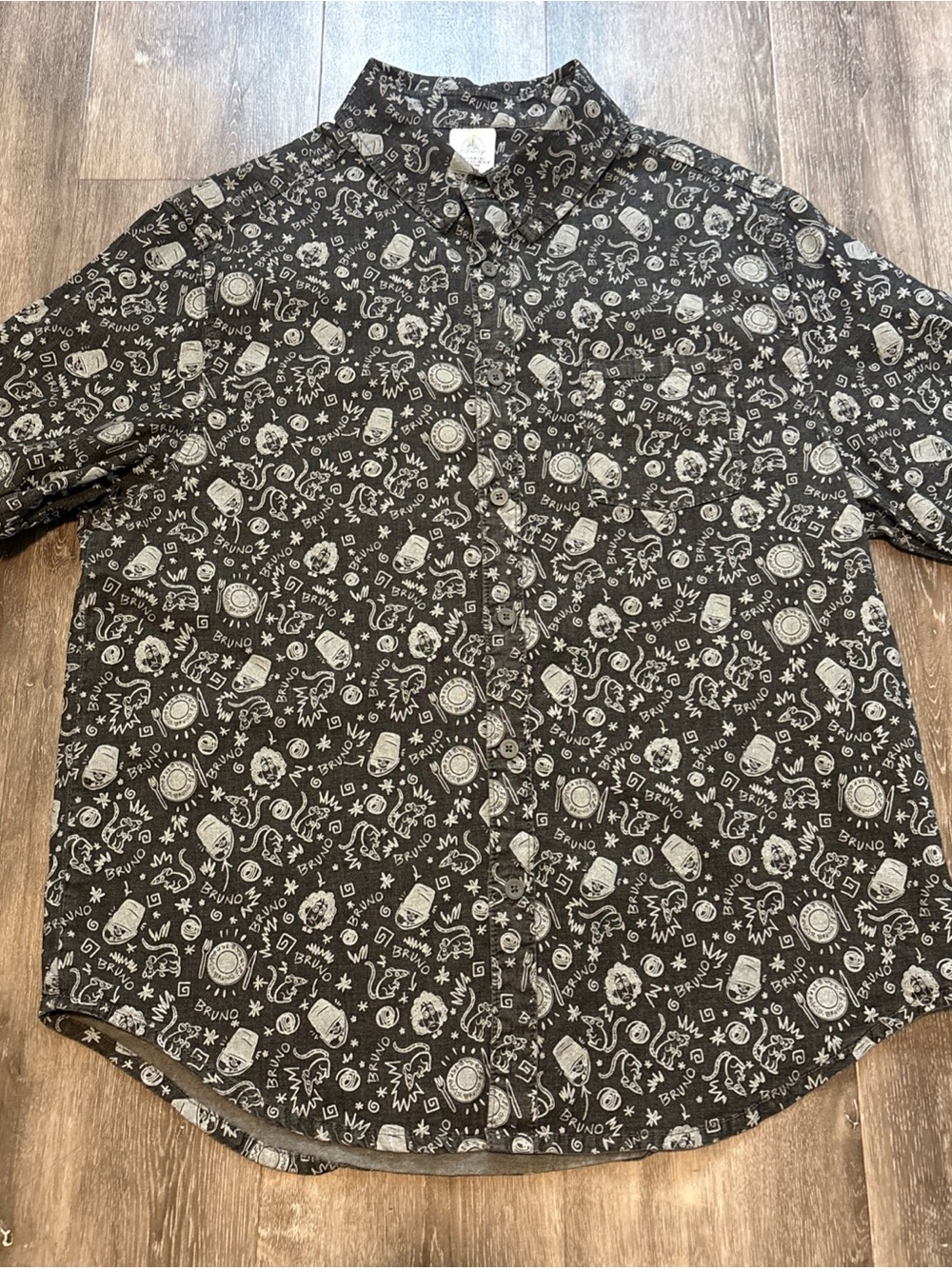 Disney World Encanto Bruno Mens Size Large Button Up Charcoal Gray Short Sleeve